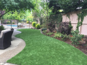 Synthetic Turf Gold River